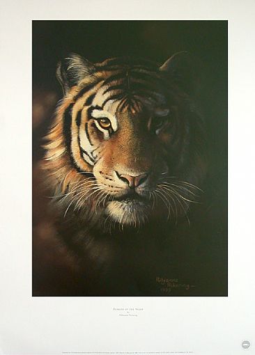 Forests of the Night - Tiger by Pollyanna Pickering