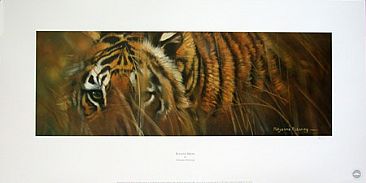 Elusive India - Tiger by Pollyanna Pickering