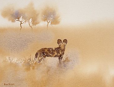 Alone - African Wild Dog (Painted Dog) by Alison Nicholls
