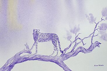 Vantage Point - Cheetah by Alison Nicholls