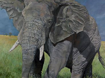 Face to Face - Bull Elephant by Karin Snoots