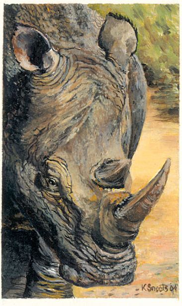 Gladiator - Rhino by Karin Snoots
