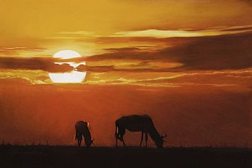 Sunset Over Africa  - Wildebeest and sunset by Pete Marshall
