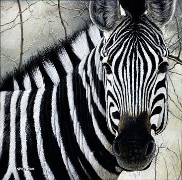 Black With White Stripes - Zebra by Edward Spera