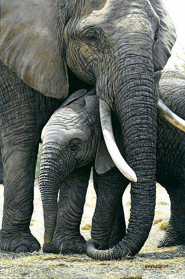 Gentle Touch - Elephant Mother & Young by Edward Spera