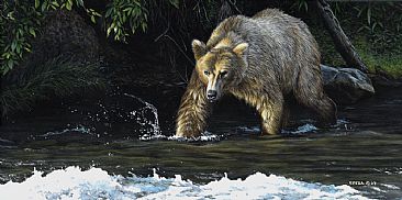 Katmai - Grizzly Bear by Edward Spera