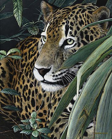 Natural Instinct - Jaguar by Edward Spera