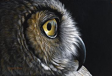 Reflection - Great Horned Owl by Edward Spera