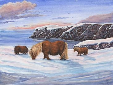 Ponies In Snow, Shetland - Shetland ponies in a Shetland landscape by Anne Barron