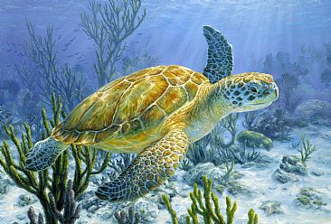 Ancient Mariner - green sea turtle by Beth Hoselton