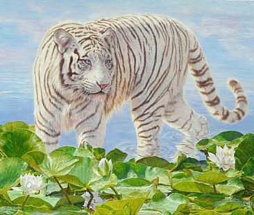 Ghost of the Raj  - White Bengal Tiger  by Beth Hoselton
