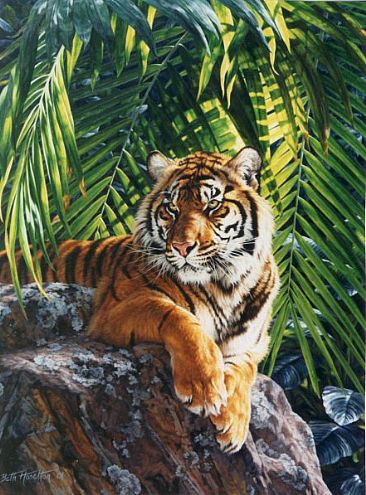 Jungle Queen - Sumatran tigress  by Beth Hoselton