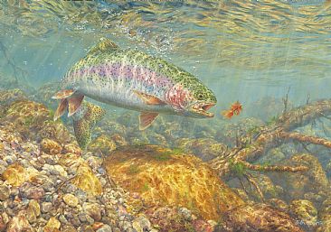 Shelter Valley Rainbow - Rainbow Trout by Beth Hoselton