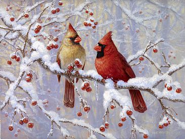Winter Joy - Northern Cardinal by Beth Hoselton