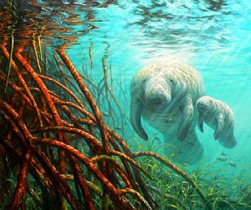 Mangrove Morning - Manatees in red mangrove  by Beth Hoselton