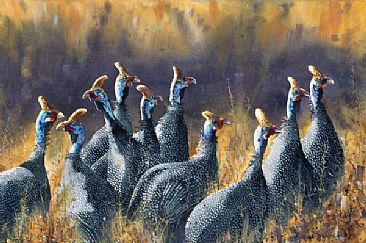 Helmeted GuineaFowl - African Birds by Peter Blackwell