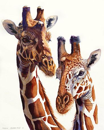 Africa Adorned - Giraffe - African Wildlife by Peter Blackwell