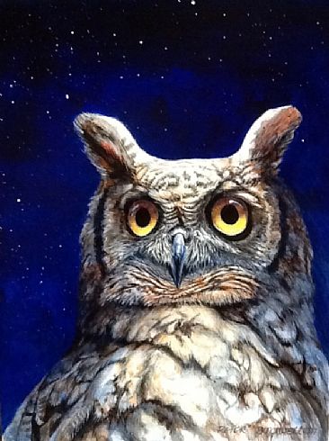Starry Eyed - Birds of Prey by Peter Blackwell