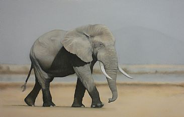 Amboseli Dry Season - African Elephant by Edward Hobson
