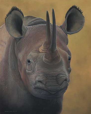 Your Move. - Rhino by Edward Hobson