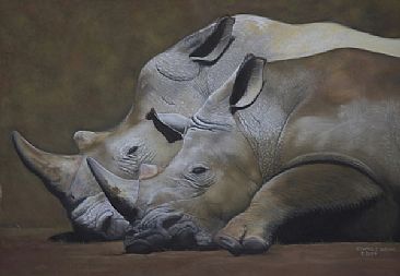 Nakuru White Rhinos - White Rhinos by Edward Hobson