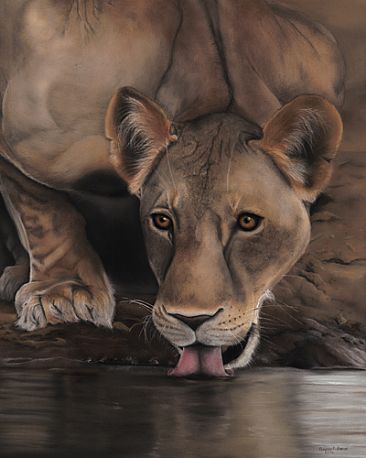 Shompole Waterhole - No. 1 - Lion by Edward Hobson