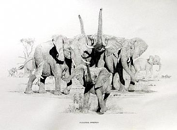 A Cautious Approach - A family of female elephants approaching a waterhole by Chris McClelland