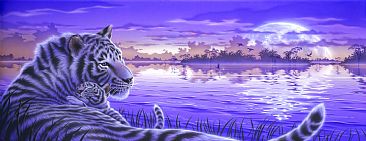 Lullaby 2 - Whtie tiger by Kentaro Nishino