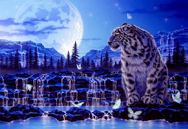 Memory of the Earth - Snow leopard by Kentaro Nishino