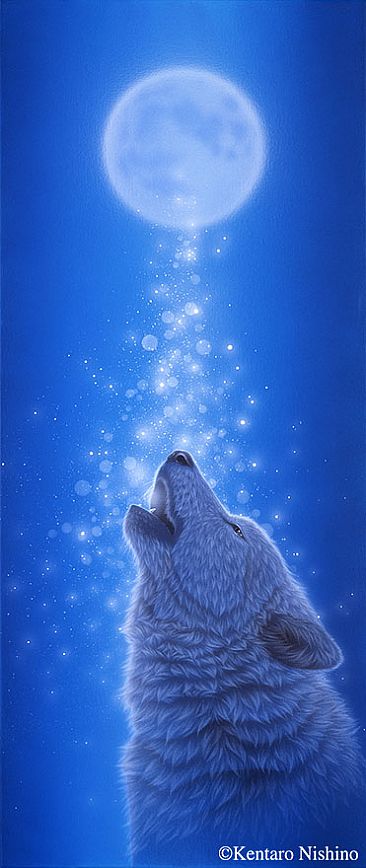Moon drops - wolf by Kentaro Nishino