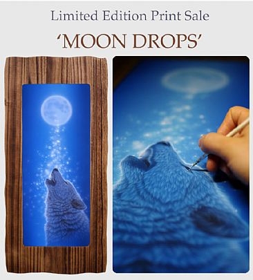 Moon Drops - wolf by Kentaro Nishino