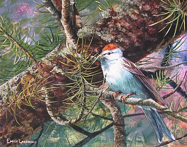 Chipping Sparrow - Chipping Sparrow by Emily Lozeron