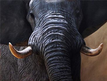 Elephant - Latest Original - Elephant Painting by Jason Morgan