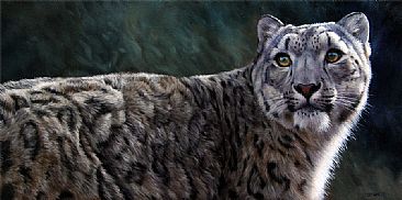 snow leopard  - big cats by Jason Morgan