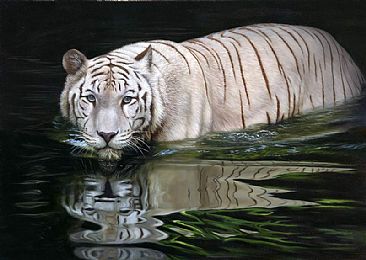 White Tiger painting - big cats - Tigers by Jason Morgan