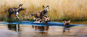 African wild Dogs - Wild dogs by Jason Morgan