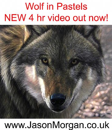 WOLF Pastels - DVD out now - wolf by Jason Morgan