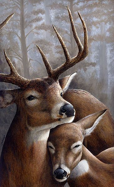Moonlight, DU Artwork - Deer by Claude Thivierge