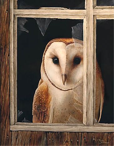 Nobio - Barn owl by Claude Thivierge
