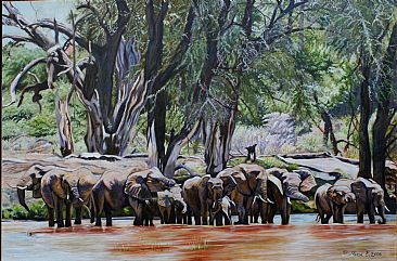 Happy Hour - Elephants drinking at Samburu by Theresa Eichler