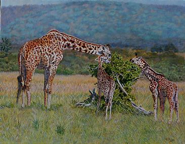 Junior Salad Bar - Giraffes in the Masai Mara by Theresa Eichler