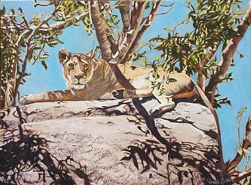 Serengeti Sweetheart - lioness by Theresa Eichler