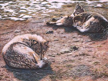 Two's Company - wolves by Theresa Eichler