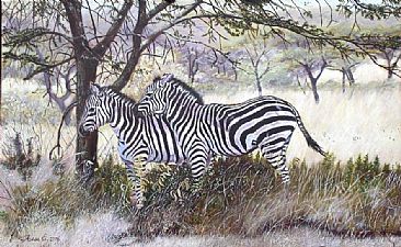 Harmony - Zebra in Lake Nakuru National Park - Kenya by Theresa Eichler