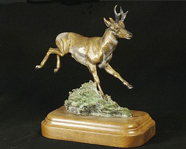 Born to Run - Pronghorn Antelope by Christine Knapp