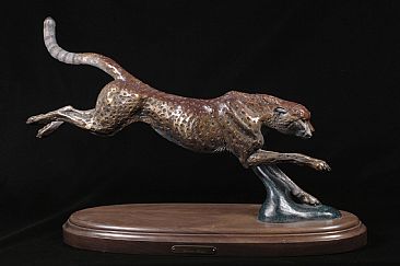 Amazing Grace - running cheetah by Christine Knapp