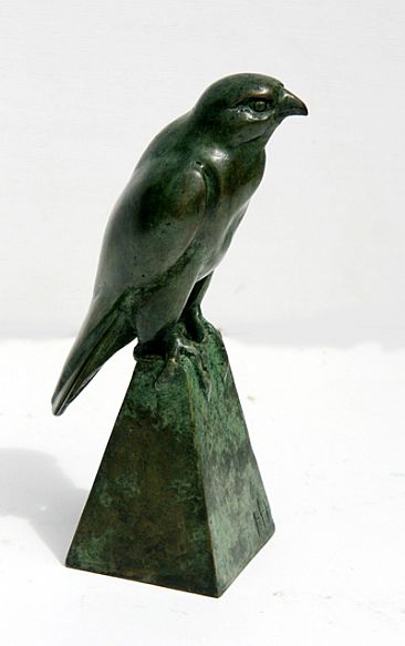 Peregrine Falcon  paper weight - Peregrine Falcon by Martin Hayward-Harris