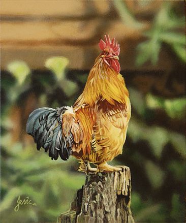 WHO CALLED ME CHICKEN - BUFF SUSSEX COCKEREL by Stephen Jesic