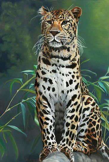 Leopard on Alert - Leopard by Patsy Lindamood