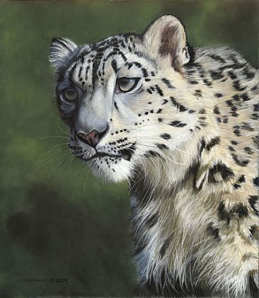 Questioning the Future - Snow Leopard by Patsy Lindamood